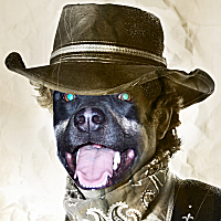 Dog Image
